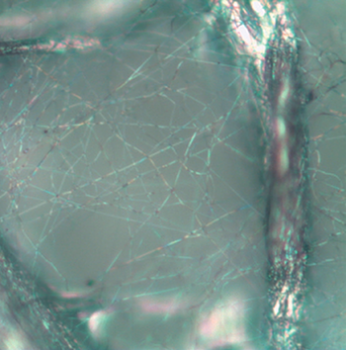 纳米纤维的光学显微镜图像
