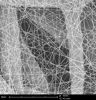 纳米纤维的扫描电子显微镜图像