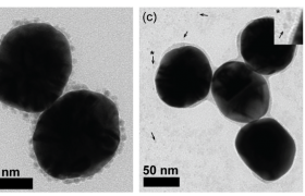 金二氧化硅和镍纳米颗粒的TEM图像来自三个来源