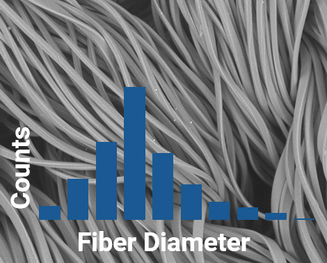 纤维尺寸分析与Benchtop SEM