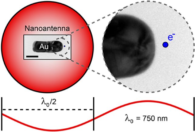 金条的电子显微图