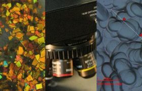 一张100美元的图片和一张显微镜的图片。