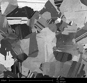 镍基合金1000倍，使用反向散射电子SEM