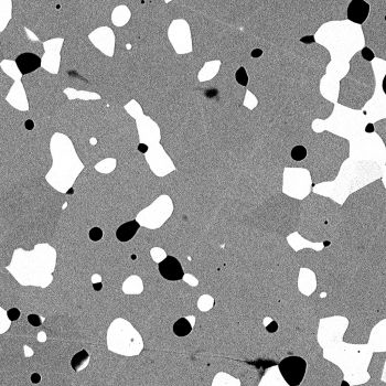 一个陶瓷加热元件的背散射电子探测器图像