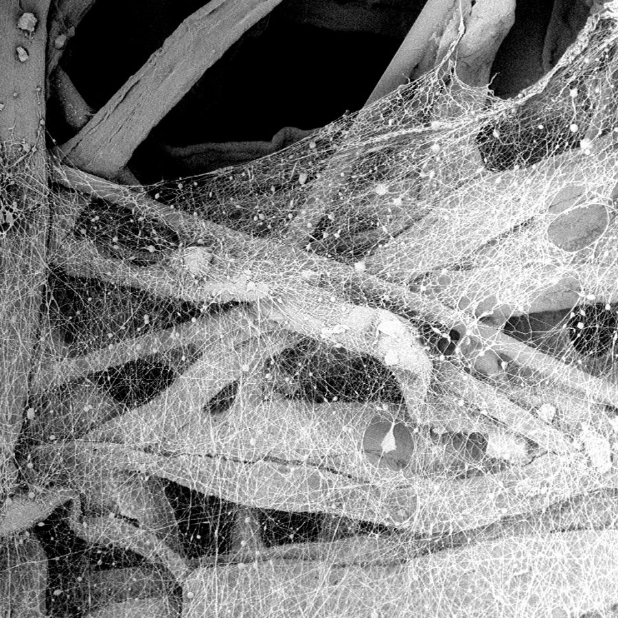 脉冲清洁空气过滤器与扫描电子显微镜成像