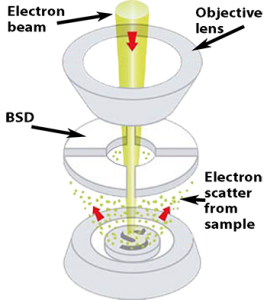 背散射电子探测器原理图
