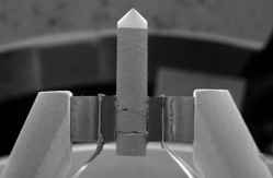 扫描固态晶体源的电子显微镜图像