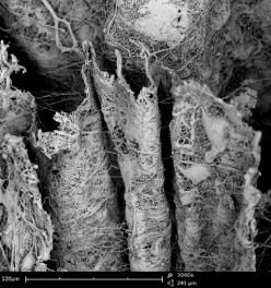 三维纳米纤维层截面图