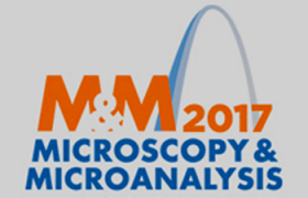 2017年圣路易斯MM博览会