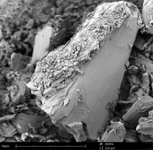 Johnson＆Johnson R＆D的药物粒子的Phenom SEM图像