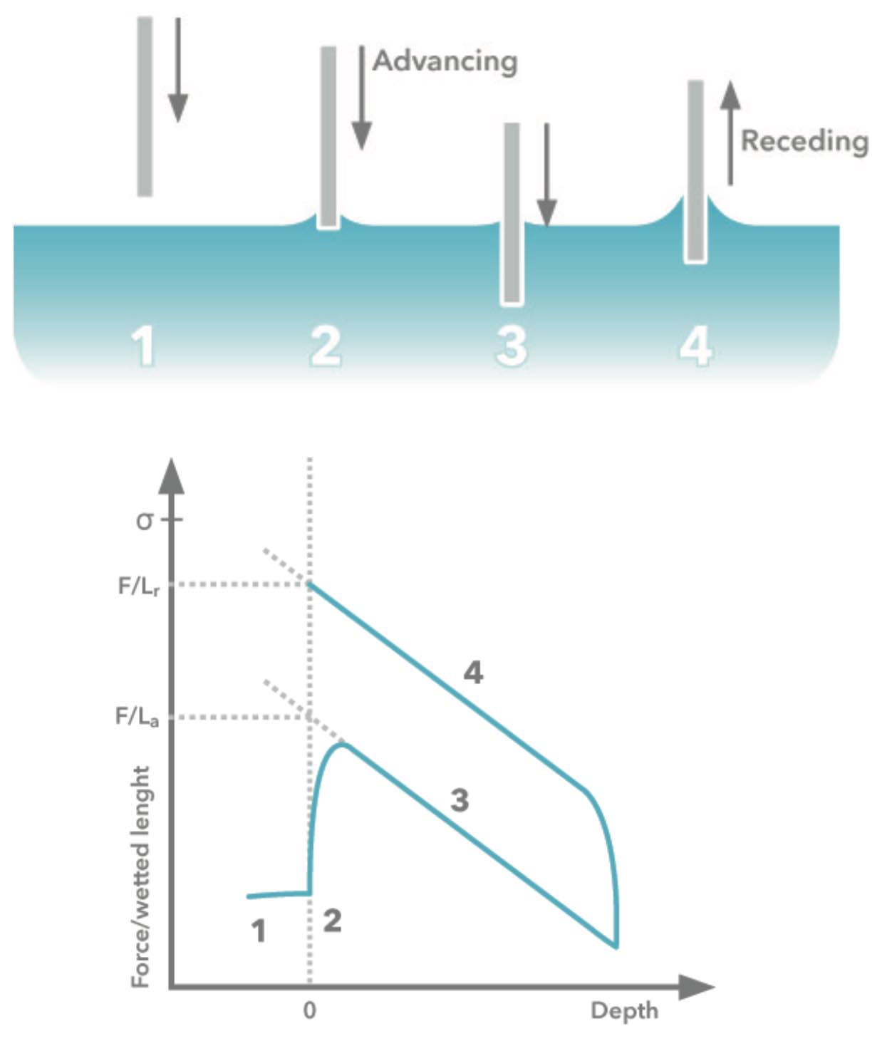 用Wilhelmy板测量动态接触角