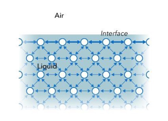 作用在液体分子上的力图。