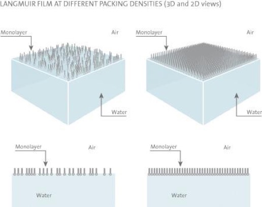 空气/水界面的表面活性剂单层。