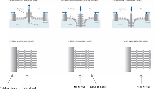 沉积LB膜的类型。