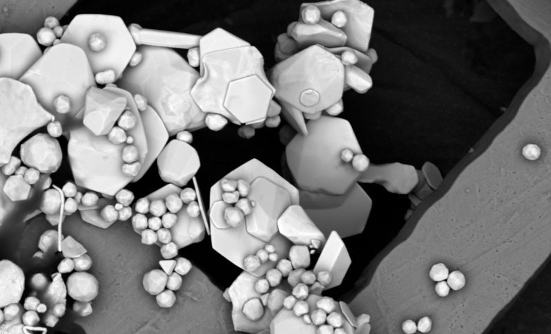 SEM Image Gallery