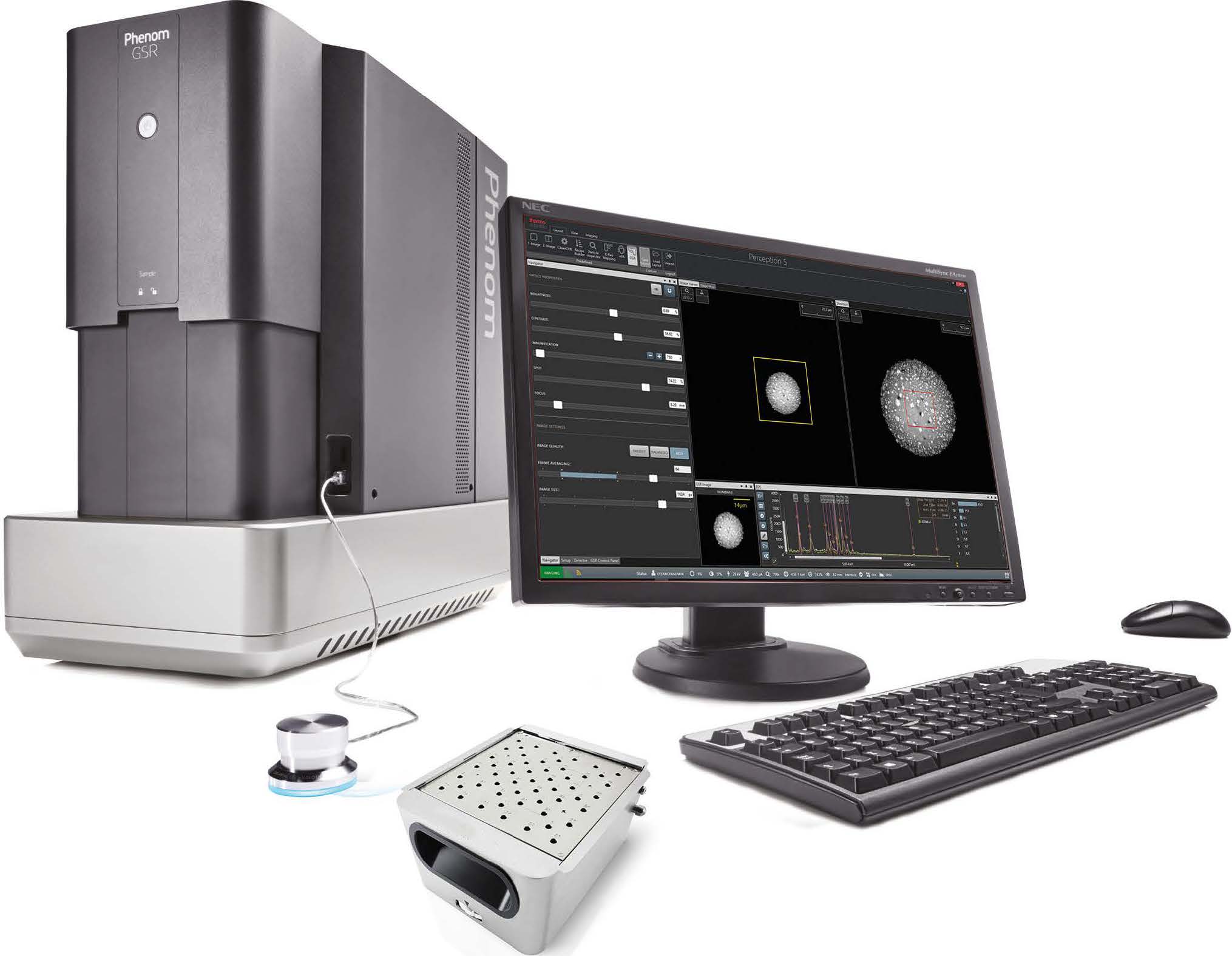 Phenom GSR扫描电子显微镜图像