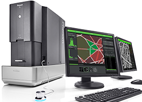 Phenom XL Desktop SEM with Fibermetric Software