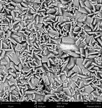 Zn3(PO4)2转换膜的BSE图像