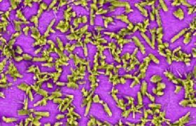 Zn3（PO4）2转化膜的EDS谱分析及彩色涂层元素识别