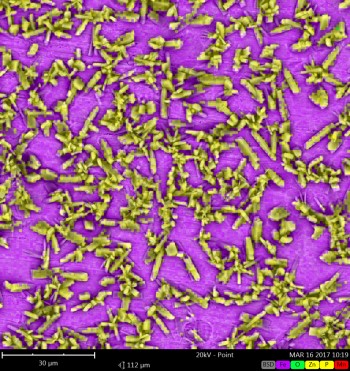 Zn3(PO4)2转化膜的EDS图分析。