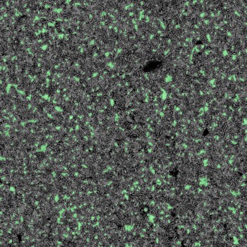 假颜色叠加突出暴露的铁。