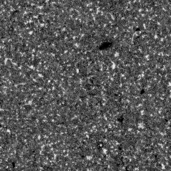 定量图像处理来测量磷酸锌涂层的覆盖率