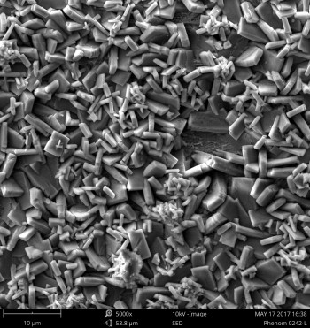 Zn3(PO4)2转化膜的SE图分析