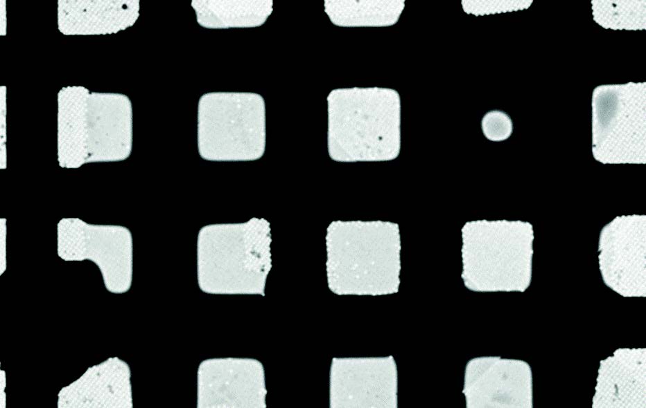 用CryoSol-World VitroJet对CryoEM网格进行目视质量检测