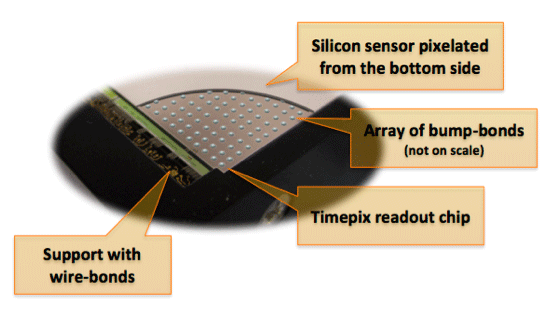 猎豹电子显微镜直接电子检测器