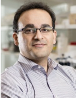 此前Abbaspourrad博士。