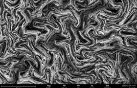 Graphite imaged on the Phenom desktop SEM