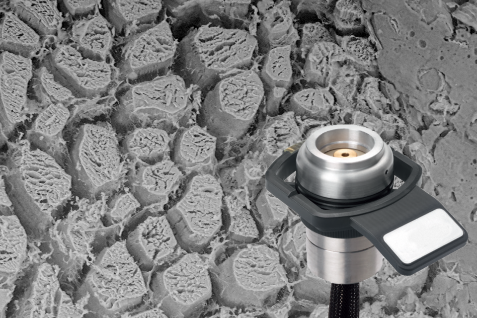 Phenom SEM温度控制样品夹