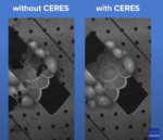 按需CryoET微型研讨会:样品制备- CryoET和SPA的主要限制